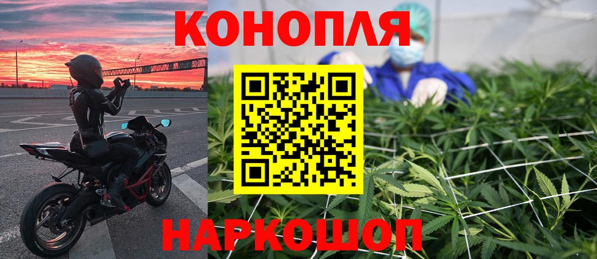 Бошки Шишки MAZAR Орск